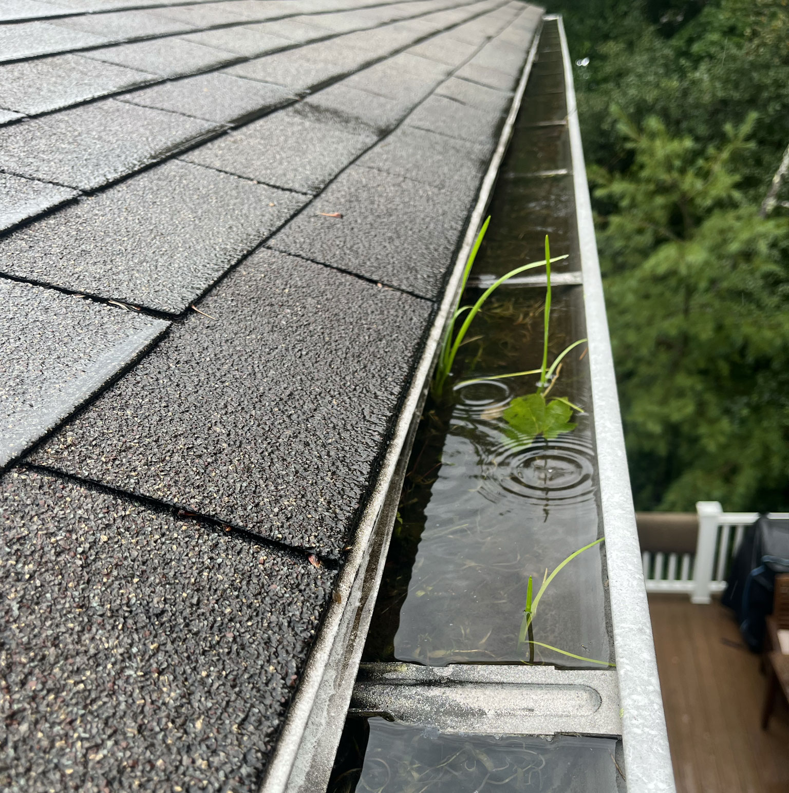 Gutter Cleaning before CleanME